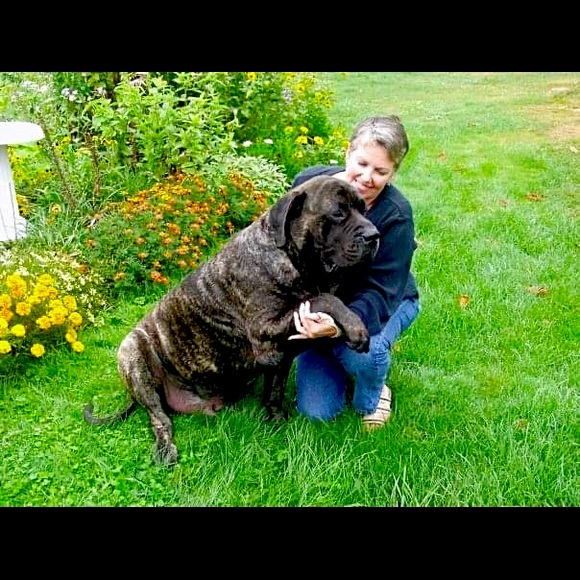 Meet your Posher, Jessica - Picture 2 of 8